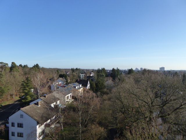 1-Zimmerwohnung in Waldrandlage